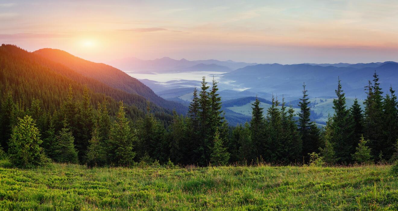 The Power of Morning Routines to Boost Productivity And Life