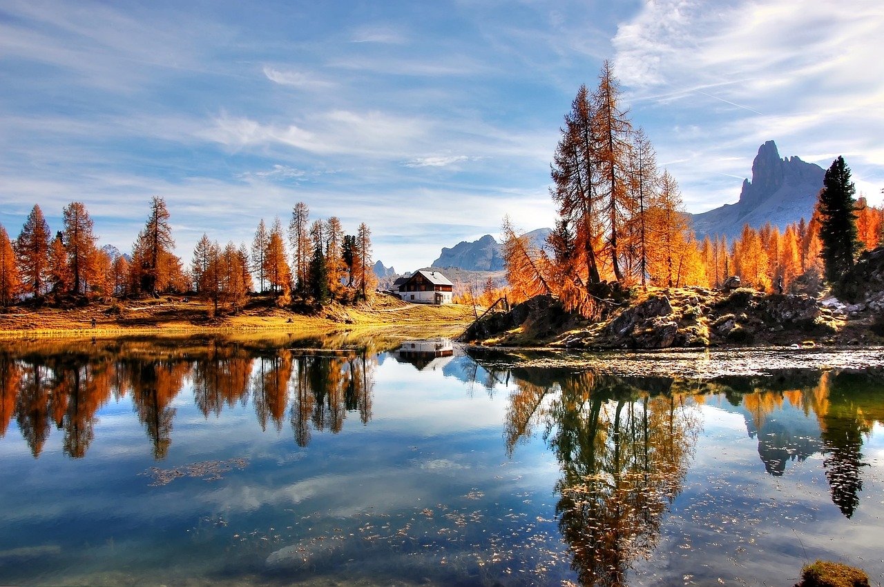 How to Maintain a Balanced Lifestyle in a Busy World
